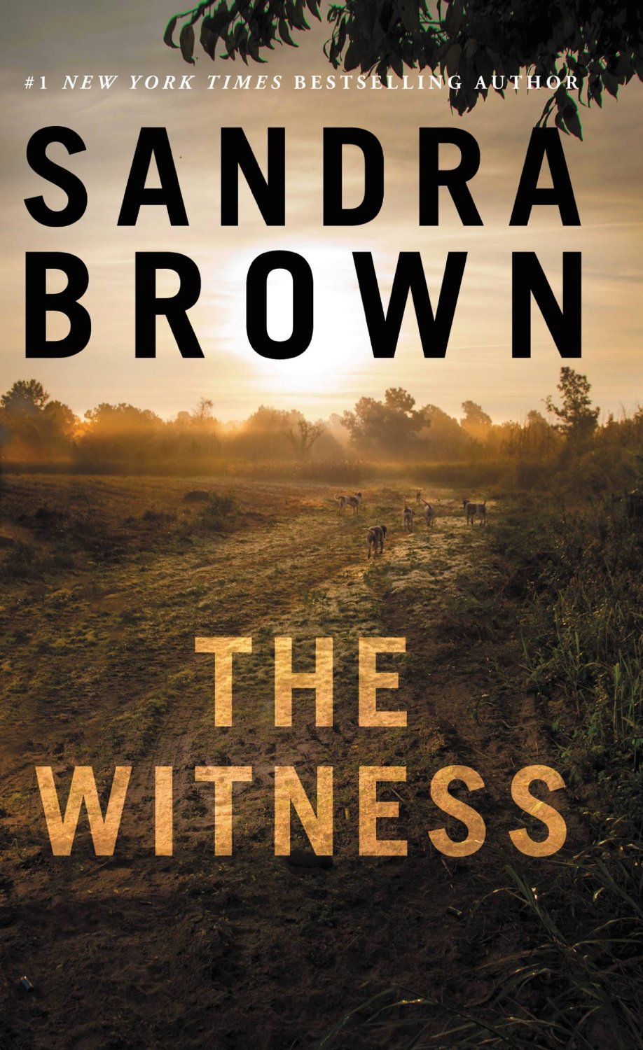Sandra Brown The Witness