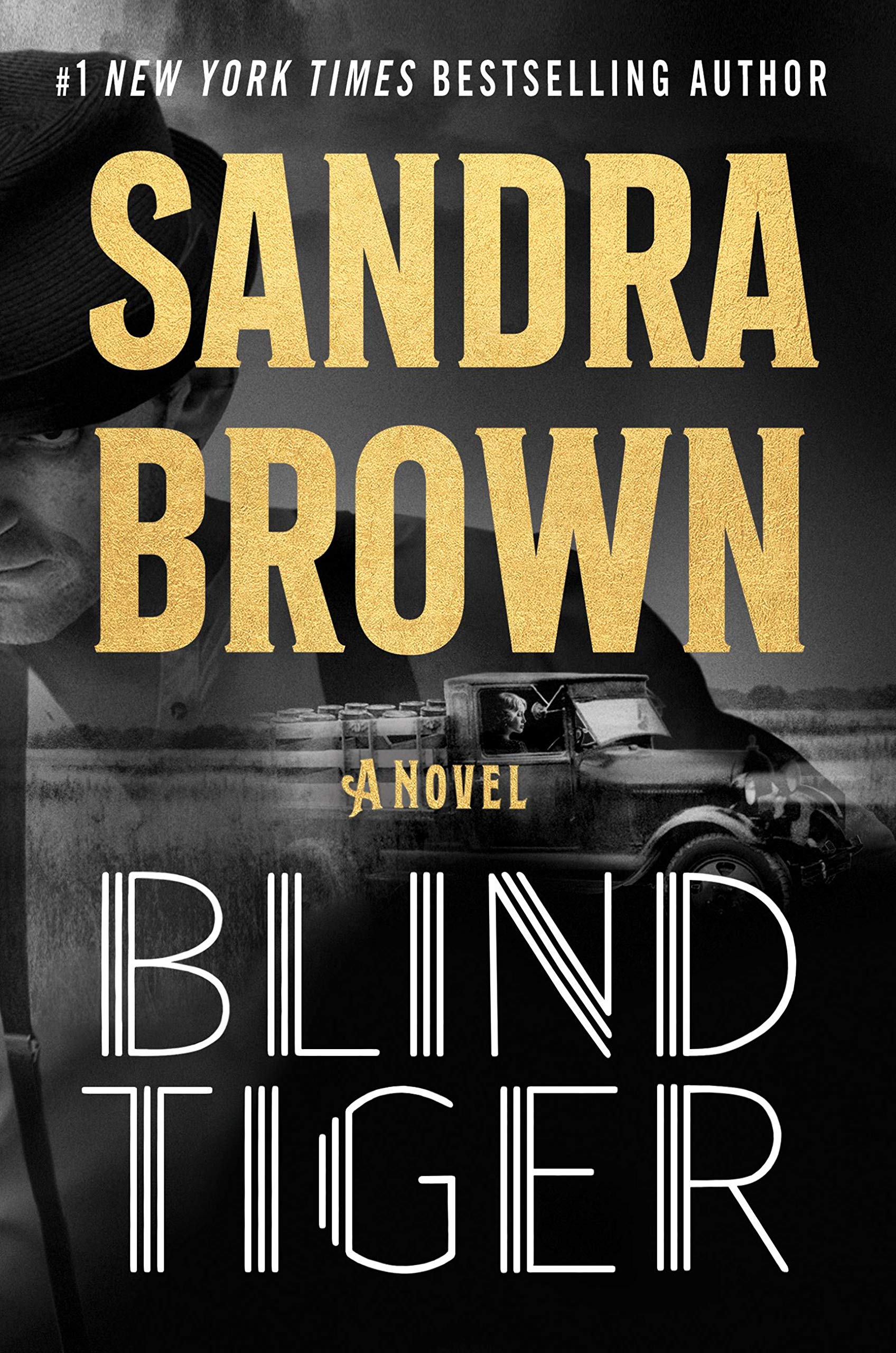 Sandra Brown Blind Tiger.